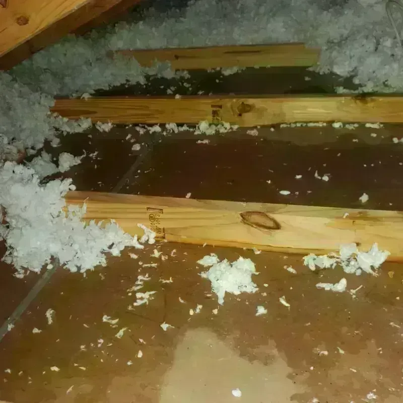 Attic Water Damage in Trophy Club, TX