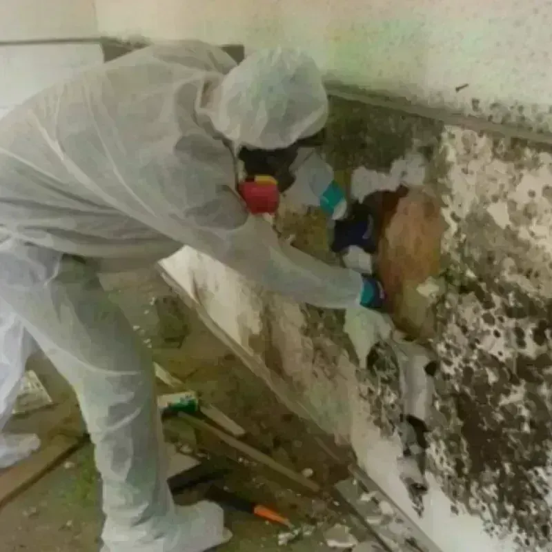 Mold Remediation and Removal in Trophy Club, TX